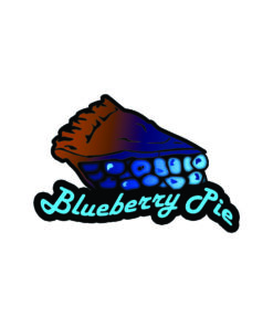Blueberry pie V 2.0