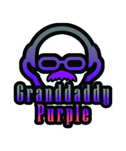 Grand Daddy Purple Cannabis Strain Indica