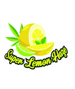 Super Lemon Haze