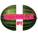 Watermelon CBD Vape Pen