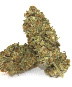 Jack Herer