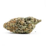 Violator Kush Marijuana Strain