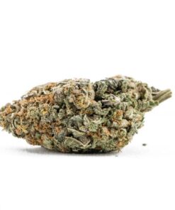 Violator Kush Marijuana Strain