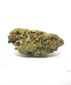 Violator Kush Weed Strain 3