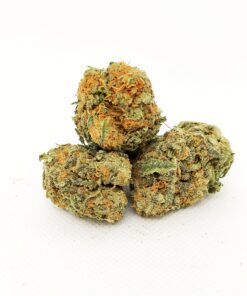 God's Green Crack (Hybrid) 4 Gods Green Crack