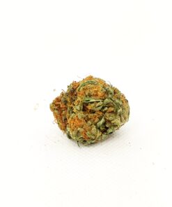 God's Green Crack (Hybrid) 5 Gods Green Crack
