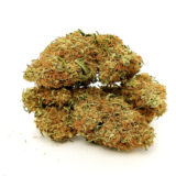 Northern Lights