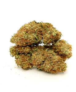 Northern Lights