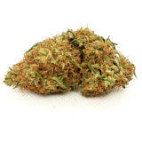 Northern Lights