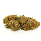 Northern Lights