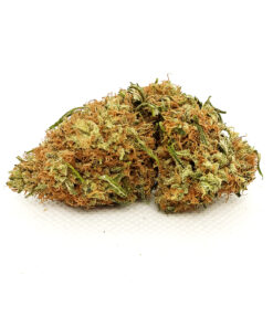 Northern Lights