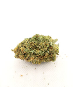 Durban Poison