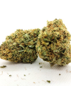 Durban Poison (Sativa) 7 Durban Poison