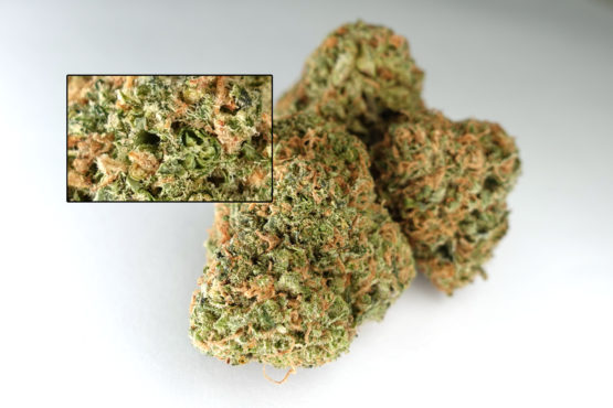 Gelato Cannabis Flower