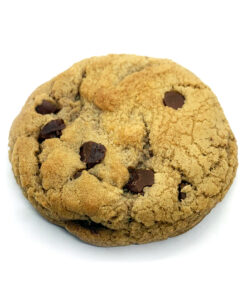 Canndy Shop Edibles THC Chocolate Chip Cookie Upclose