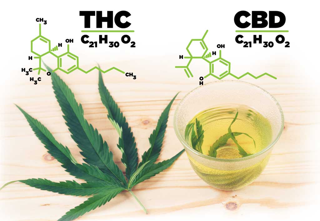 THC Vape Pens vs CBD Vape Pens