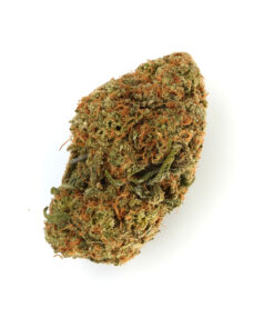 Platinum Girl Scout Cookies (Hybrid) 3 Platinum GSC