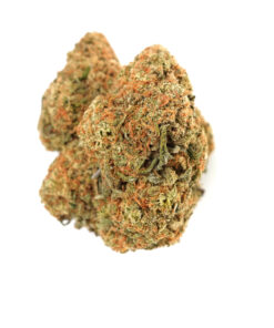 Platinum GSC