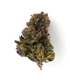 Strawberry Cannabis