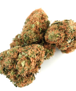 Wasabi Cannabis