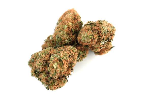 Wasabi Cannabis