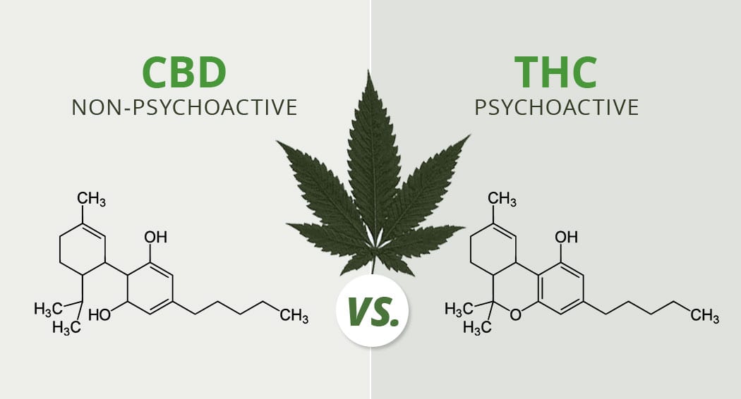 cbd vs thc