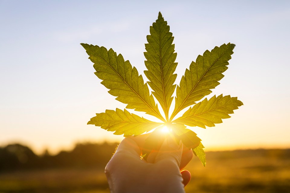 Vaping and Adventure: 3 Tips to Make Your Traveling Escapades Unforgettable 1 weed travel 2