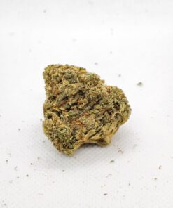 Orange Cookies