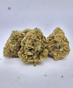 Orange Cookies 2