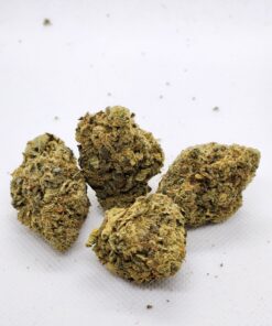 Orange Cookies 1