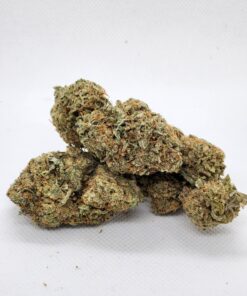 Lambs Breath