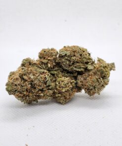Lambs Breath