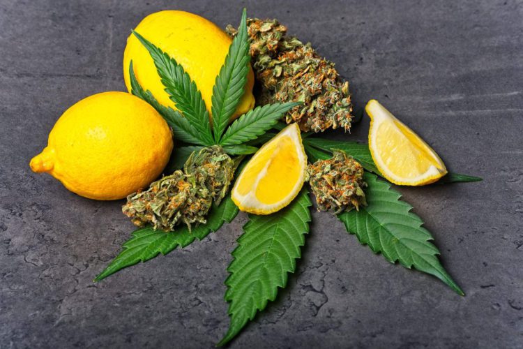 Cannabis Vape Pens Fruit Vs Strain Flavours
