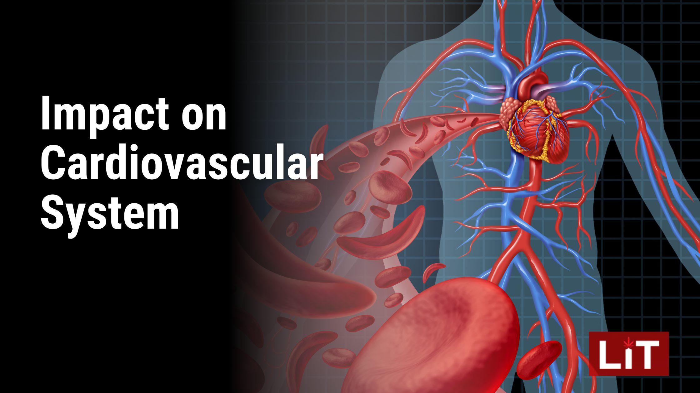 Impact on Cardiovascular System