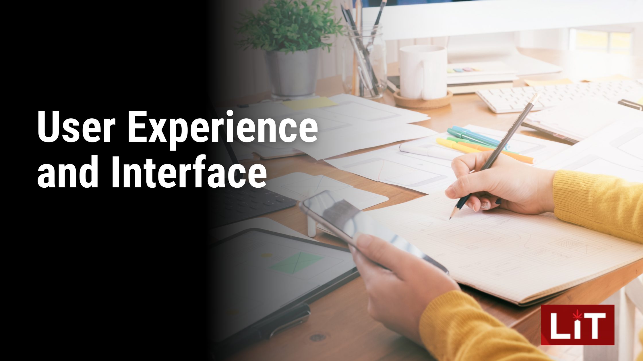 User Experience and Interface