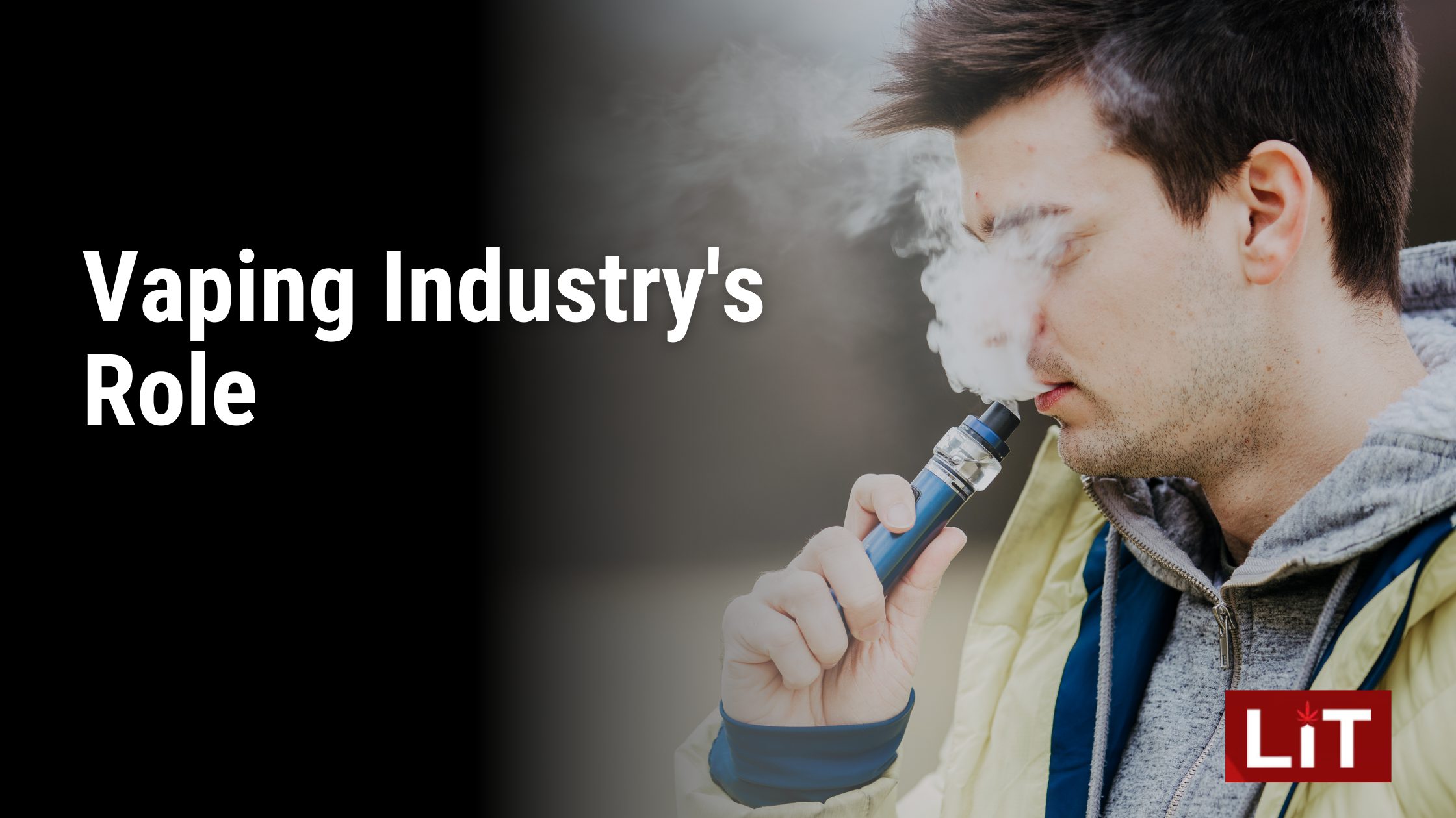 Vaping Industry's Role