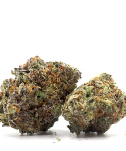 Orangeade Cannabis (Hybrid) 6 Orangeade Cannabis Strain