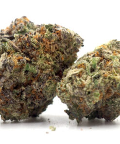 Orangeade Cannabis (Hybrid) 7 Orangeade Cannabis Strain Cropped