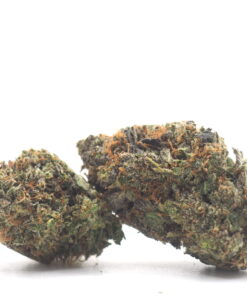 Pink Gas Cannabis Strain