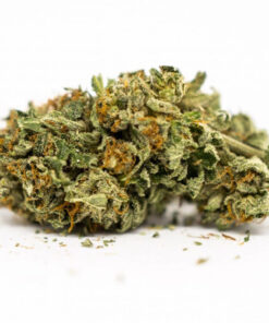 Pink Kush Weed Strain