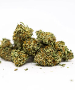 Pink Kush Cannabis (Indica) 6 Pink Kush Weed Strain 3