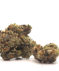 Pinkman Goo Cannabis Strain 1