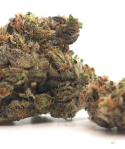 Pinkman Goo Cannabis Strain 2