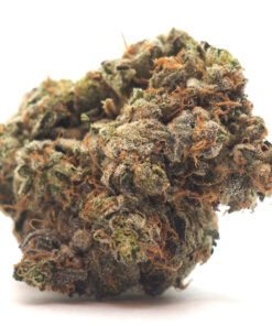 Pinkman Goo Weed Strain 1