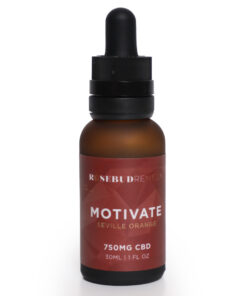 RoseBud Remedy CBD Experiences Drops Motivate