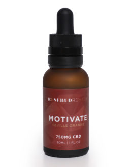 RoseBud Remedy CBD Experiences Drops Motivate