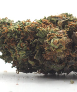 Runtz Weed Strain Cropped