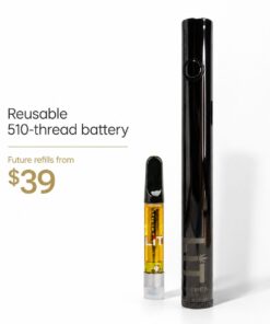 LiT 1000mg Vape Pen Kit Canada | Best Value | $55