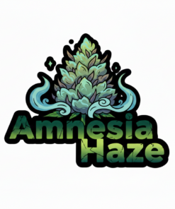 Amnesia Haze New Logo (1)